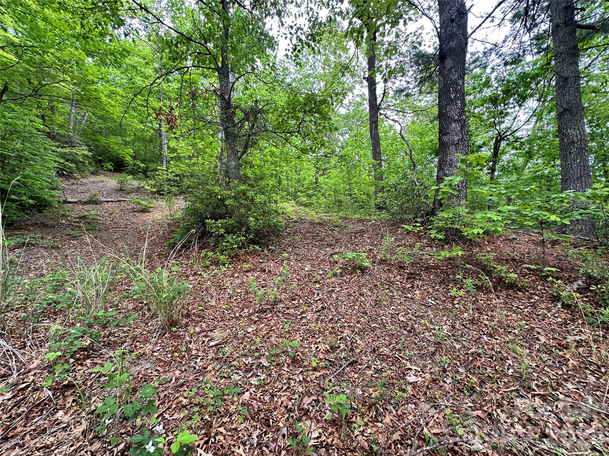 99999 Bird Creek Estates Road Black Mountain NC 28711
