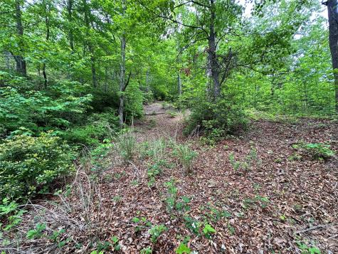 99999 Bird Creek Estates Road Black Mountain NC 28711
