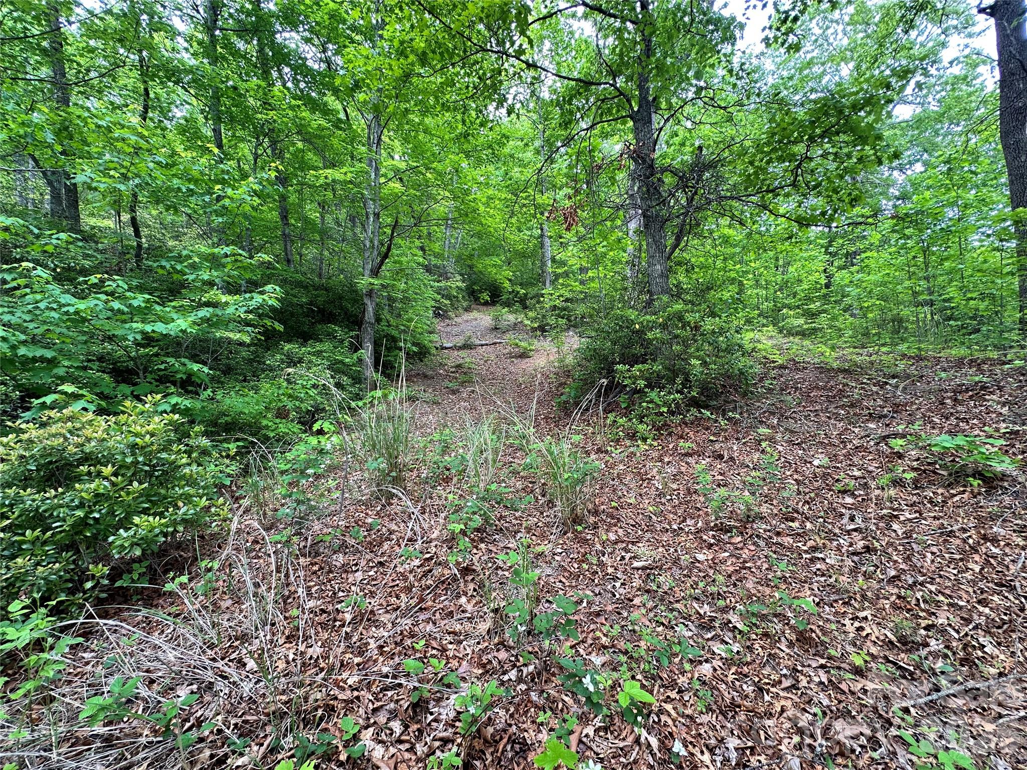 99999 Bird Creek Estates Road Black Mountain NC 28711