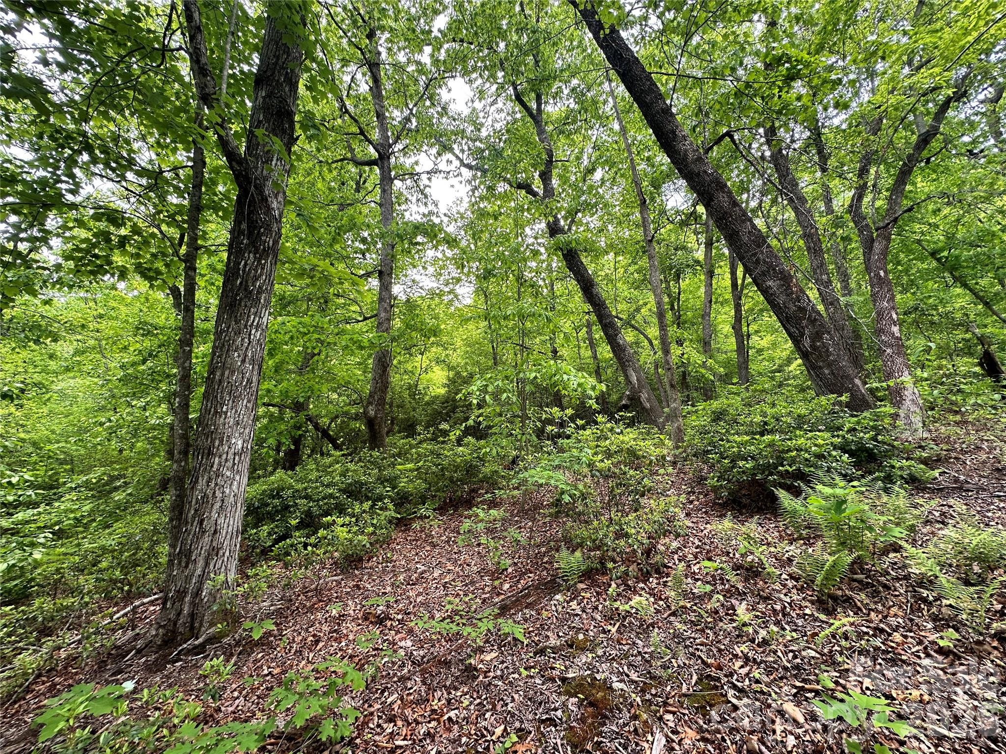 99999 Bird Creek Estates Road Black Mountain NC 28711