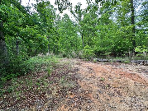 99999 Bird Creek Estates Road Black Mountain NC 28711