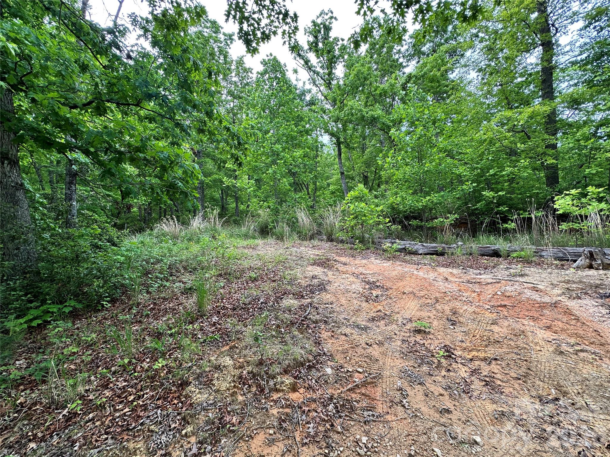 99999 Bird Creek Estates Road Black Mountain NC 28711
