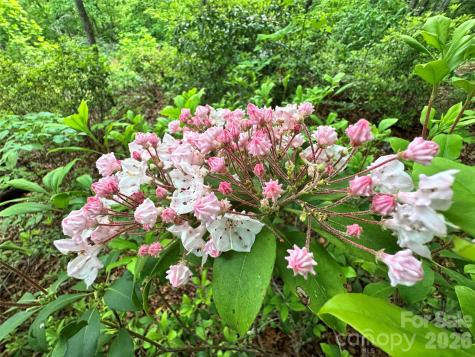 99999 Bird Creek Estates Road Black Mountain NC 28711