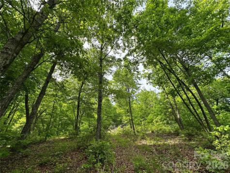 99999 Bird Creek Estates Road Black Mountain NC 28711