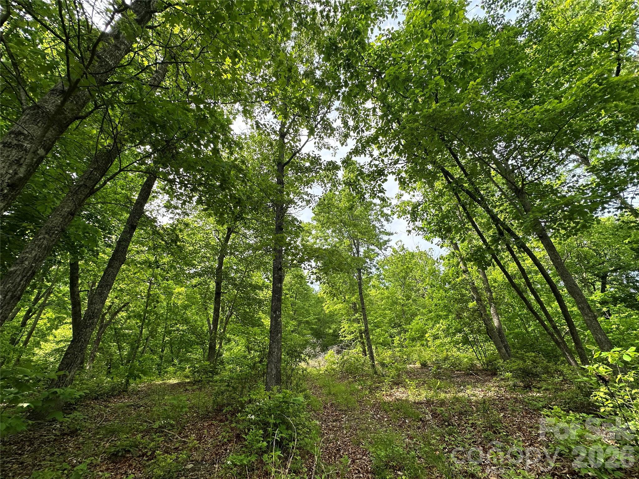 99999 Bird Creek Estates Road Black Mountain NC 28711