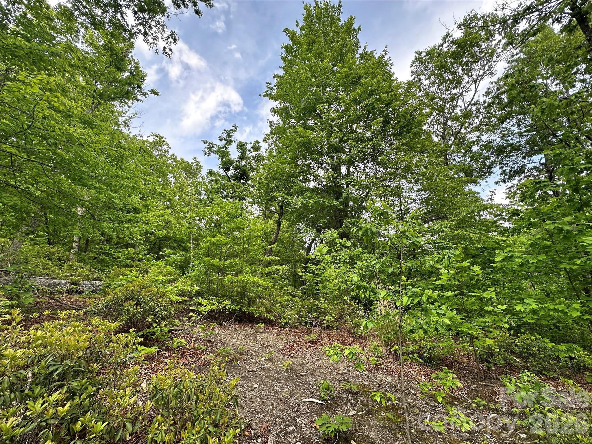 99999 Bird Creek Estates Road Black Mountain NC 28711