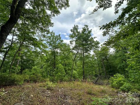 99999 Bird Creek Estates Road Black Mountain NC 28711