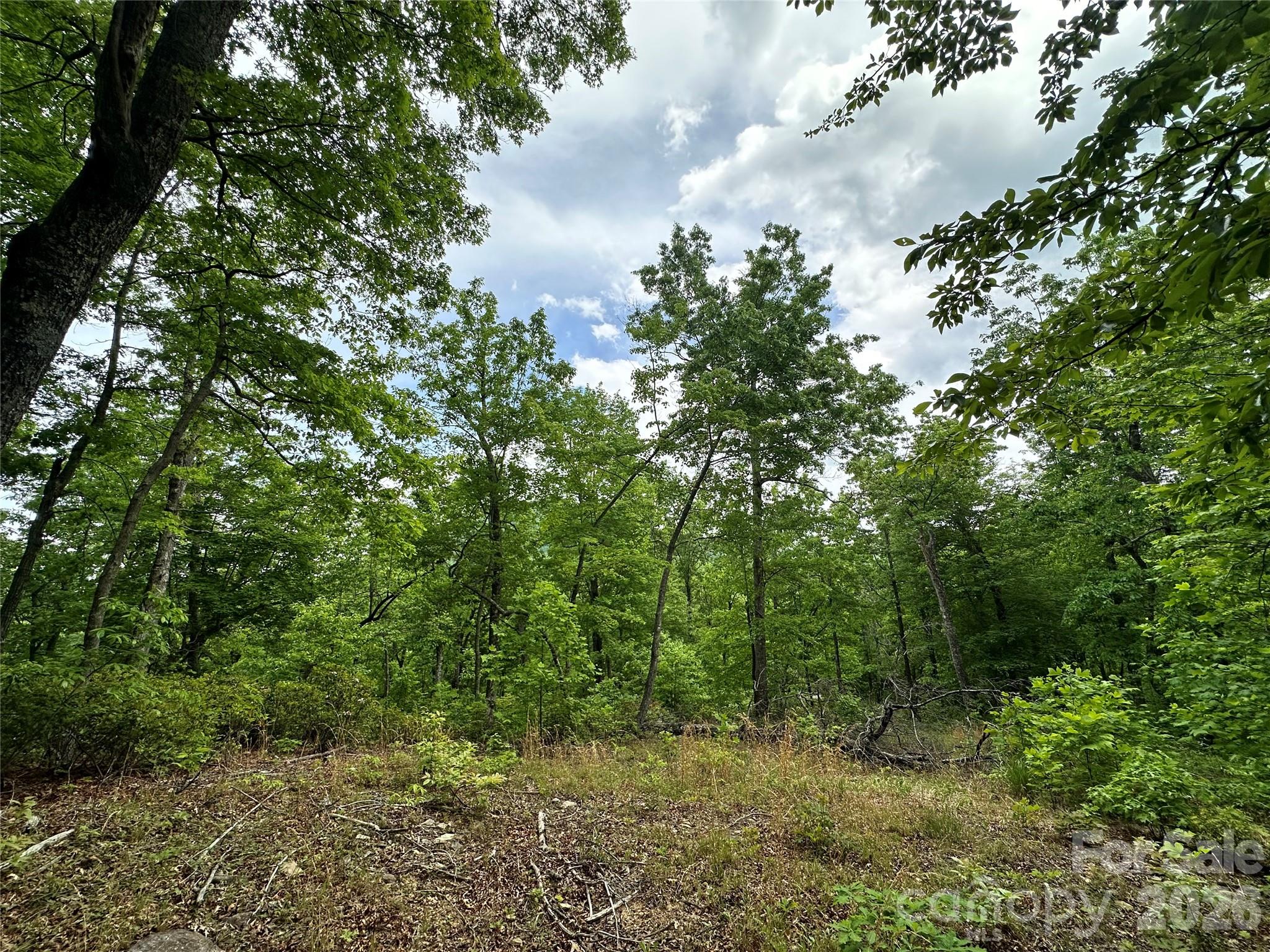 99999 Bird Creek Estates Road Black Mountain NC 28711