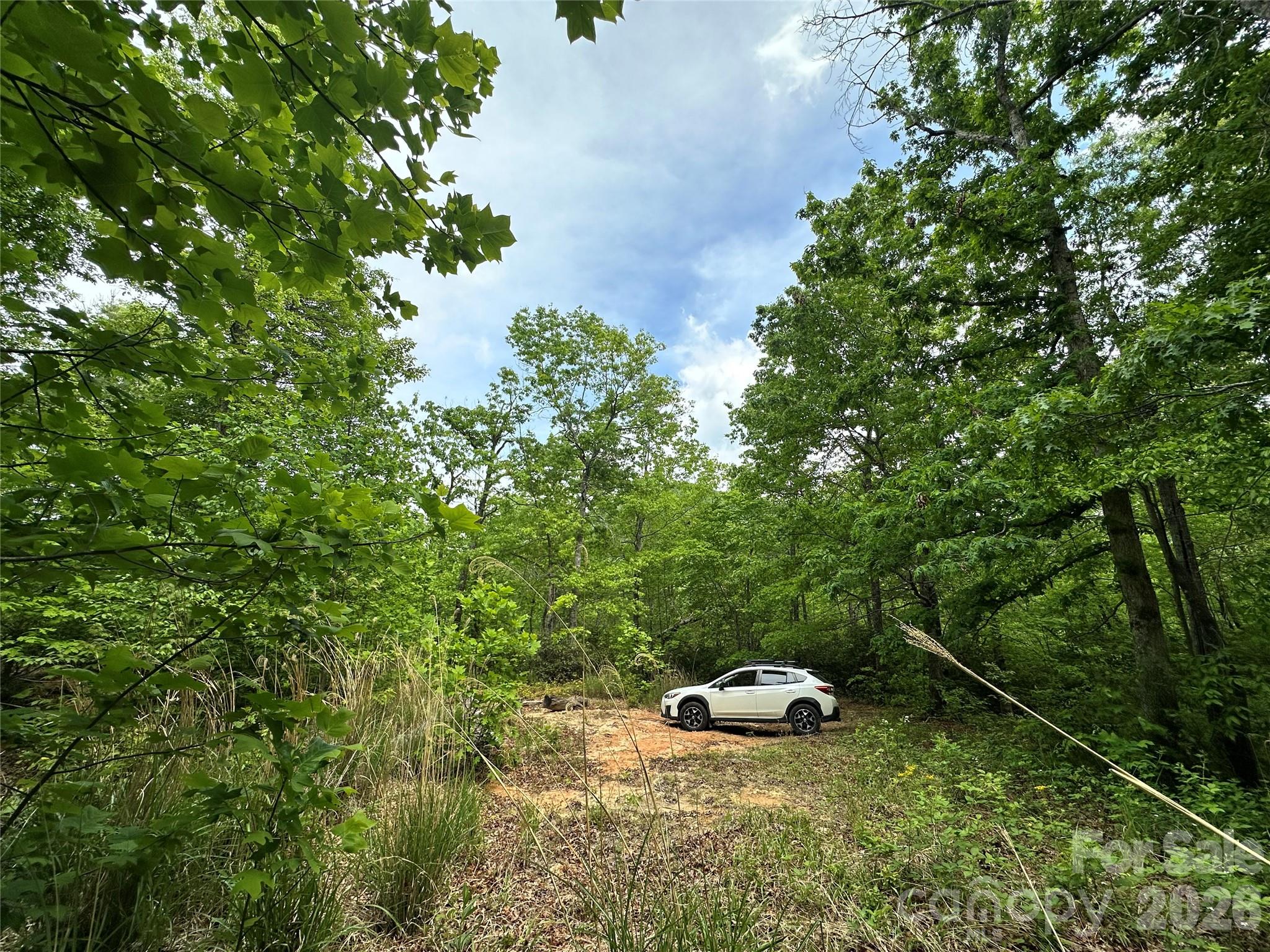 99999 Bird Creek Estates Road Black Mountain NC 28711