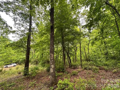 99999 Bird Creek Estates Road Black Mountain NC 28711
