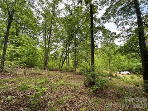 99999 Bird Creek Estates Road Black Mountain NC 28711