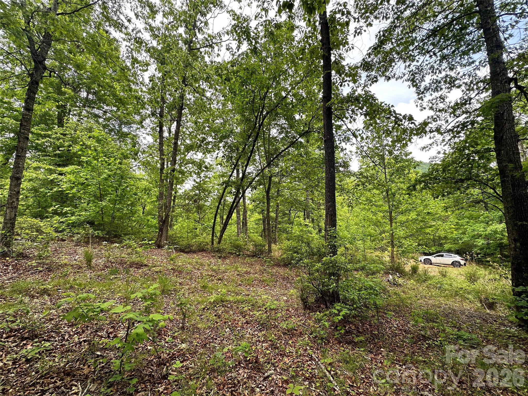 99999 Bird Creek Estates Road Black Mountain NC 28711