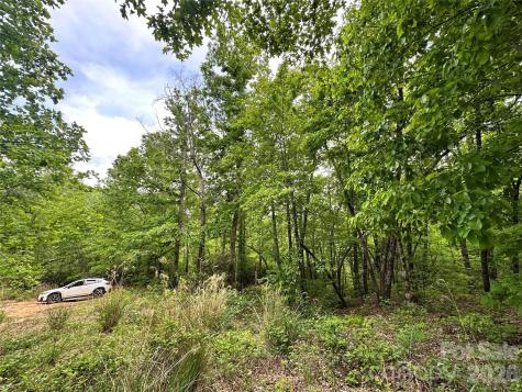 99999 Bird Creek Estates Road Black Mountain NC 28711