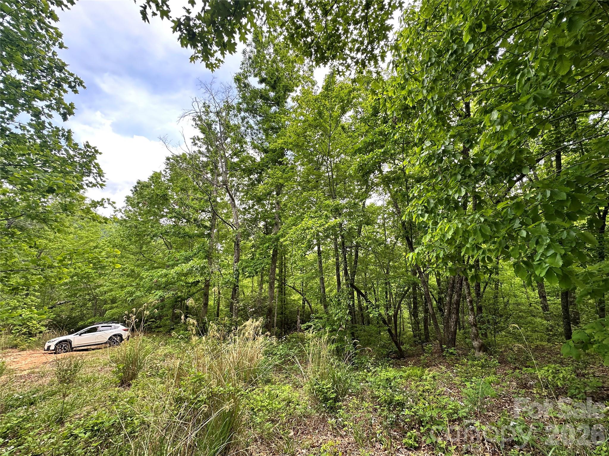 99999 Bird Creek Estates Road Black Mountain NC 28711