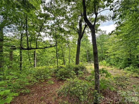 99999 Bird Creek Estates Road Black Mountain NC 28711