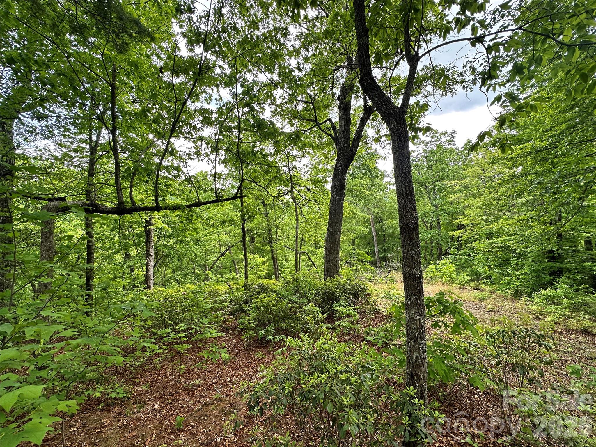 99999 Bird Creek Estates Road Black Mountain NC 28711