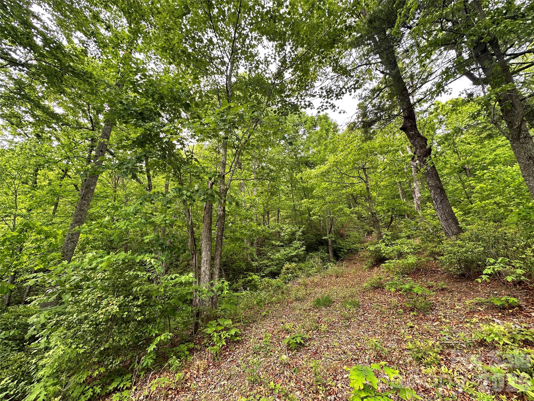 99999 Bird Creek Estates Road Black Mountain NC 28711