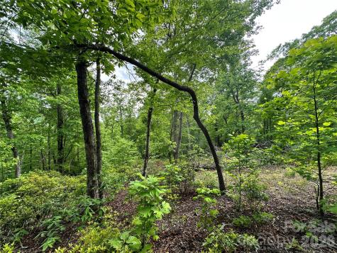 99999 Bird Creek Estates Road Black Mountain NC 28711