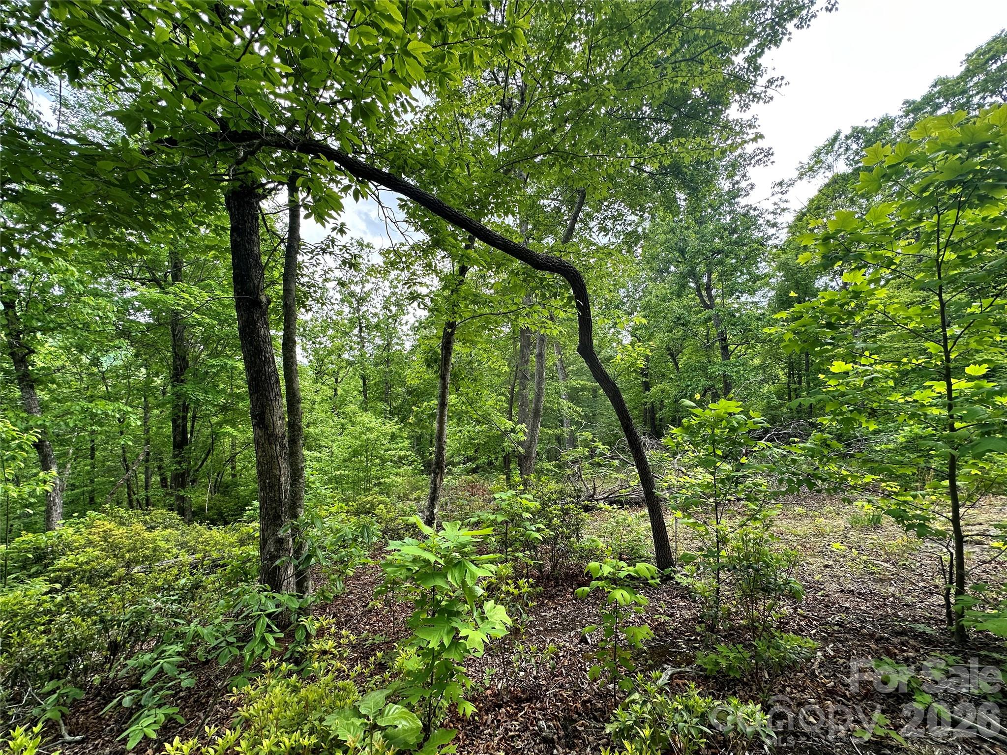 99999 Bird Creek Estates Road Black Mountain NC 28711