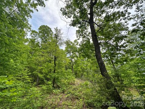 99999 Bird Creek Estates Road Black Mountain NC 28711