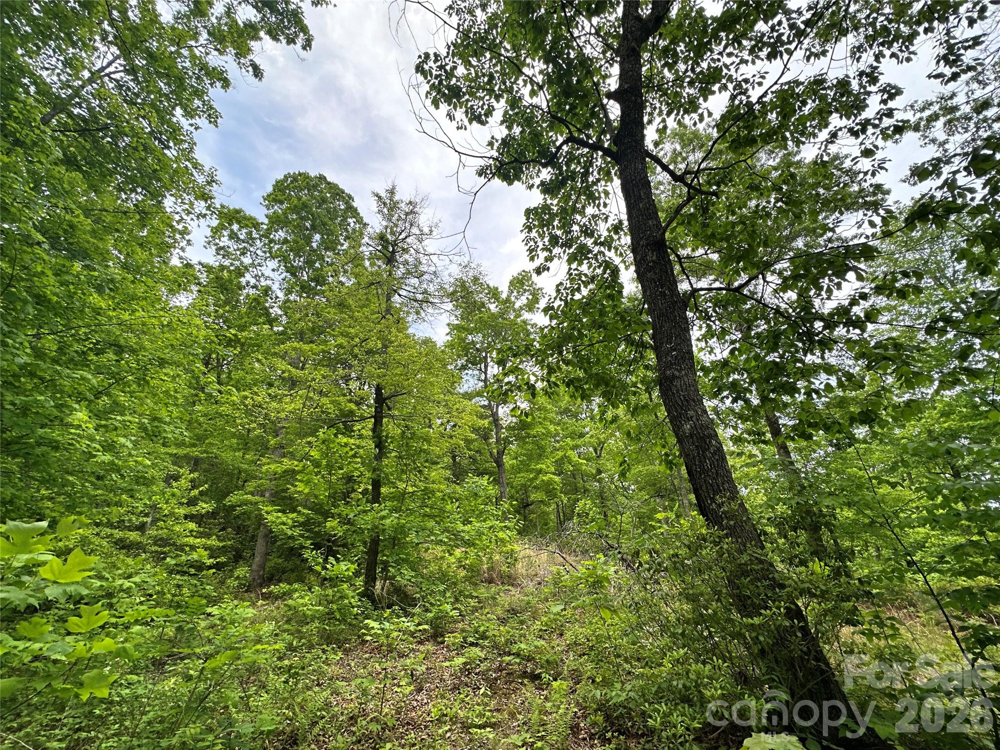 99999 Bird Creek Estates Road Black Mountain NC 28711