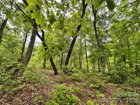 99999 Bird Creek Estates Road Black Mountain NC 28711