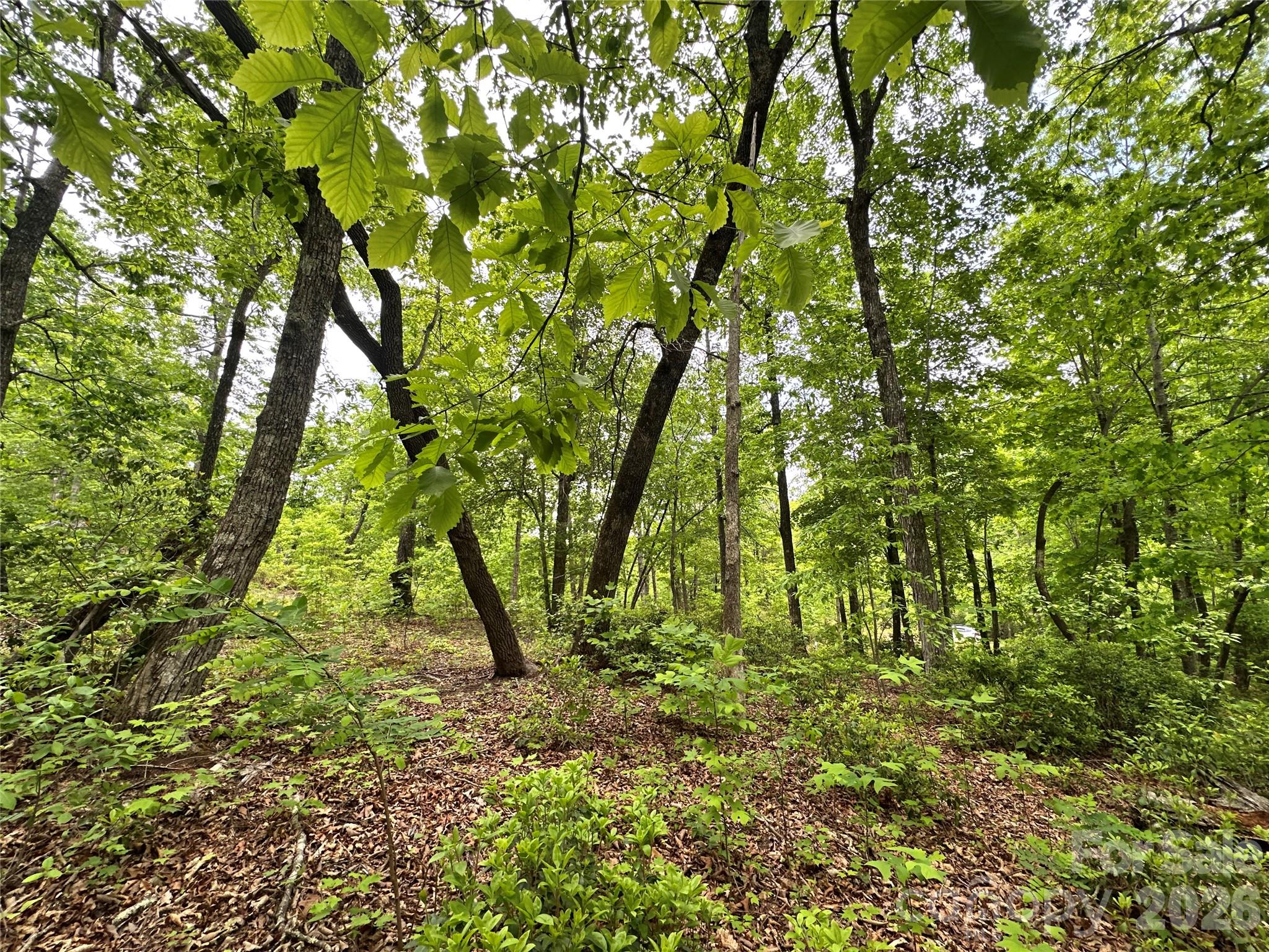 99999 Bird Creek Estates Road Black Mountain NC 28711