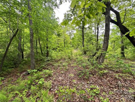 99999 Bird Creek Estates Road Black Mountain NC 28711