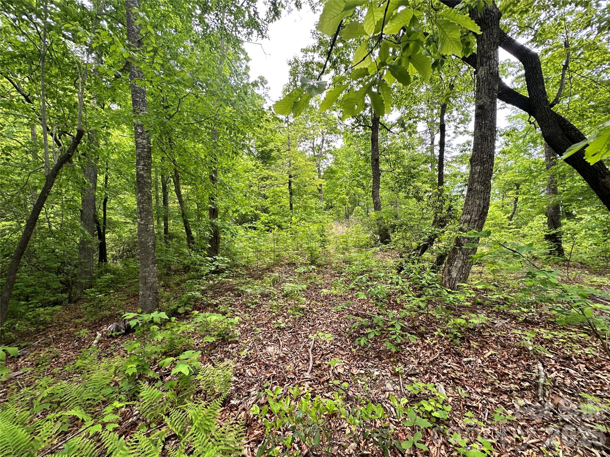 99999 Bird Creek Estates Road Black Mountain NC 28711