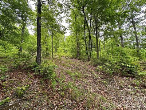99999 Bird Creek Estates Road Black Mountain NC 28711