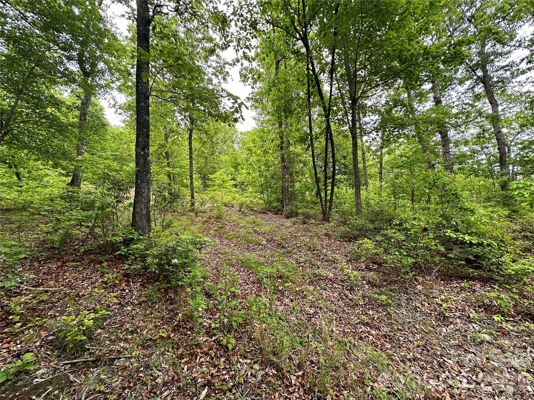 99999 Bird Creek Estates Road Black Mountain NC 28711