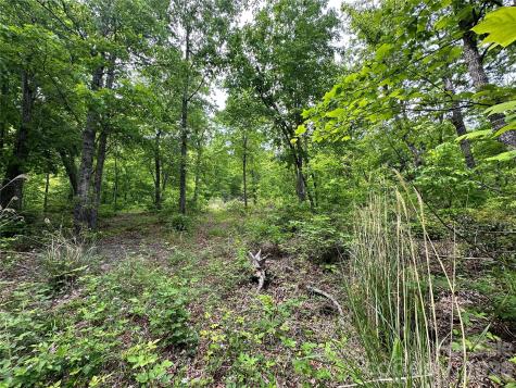 99999 Bird Creek Estates Road Black Mountain NC 28711