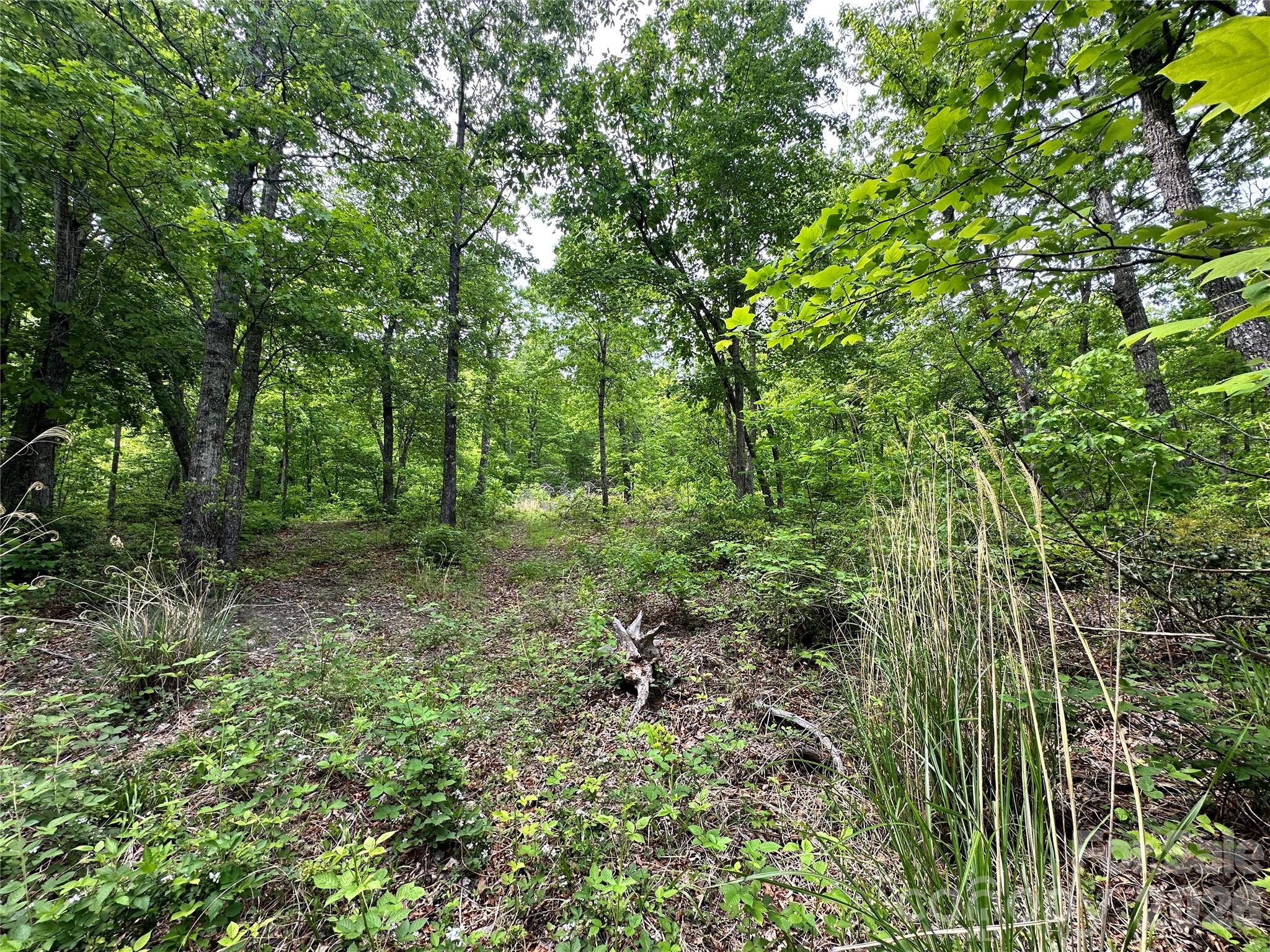 99999 Bird Creek Estates Road Black Mountain NC 28711