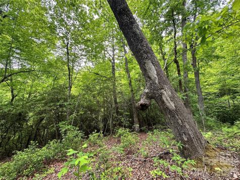 99999 Bird Creek Estates Road Black Mountain NC 28711
