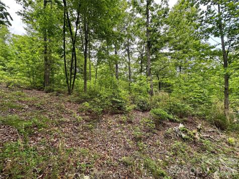 99999 Bird Creek Estates Road Black Mountain NC 28711