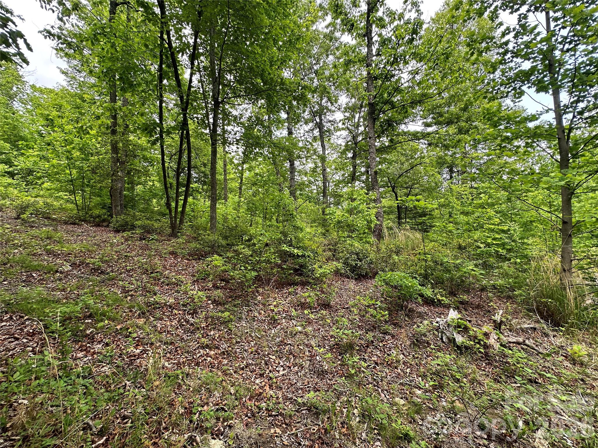 99999 Bird Creek Estates Road Black Mountain NC 28711