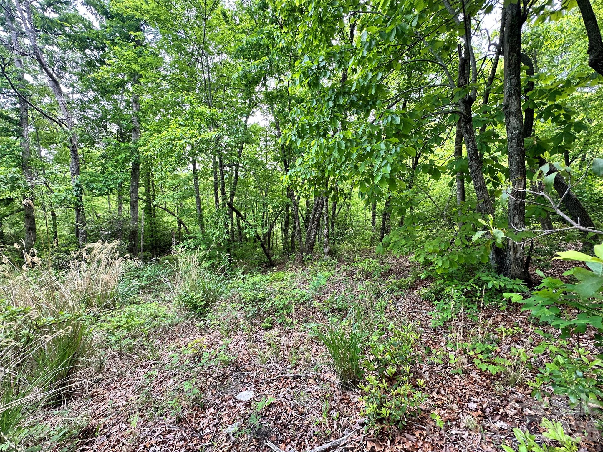 99999 Bird Creek Estates Road Black Mountain NC 28711