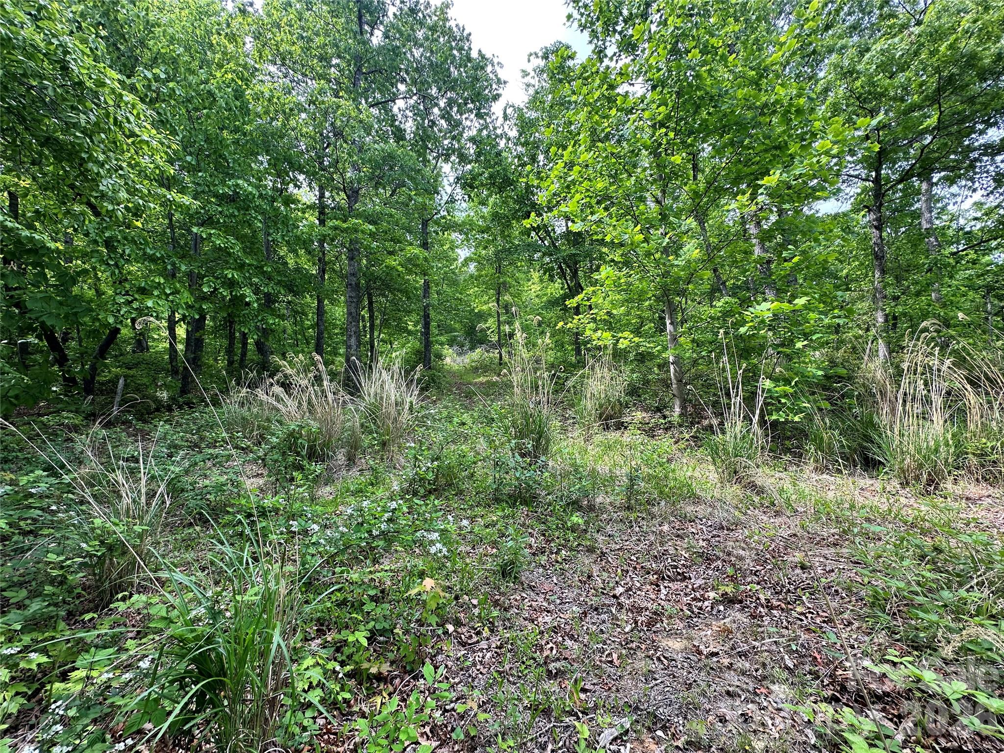 99999 Bird Creek Estates Road Black Mountain NC 28711