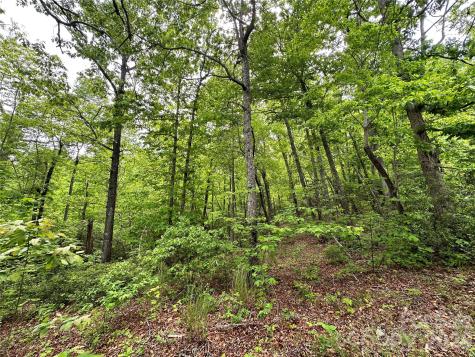 99999 Bird Creek Estates Road Black Mountain NC 28711