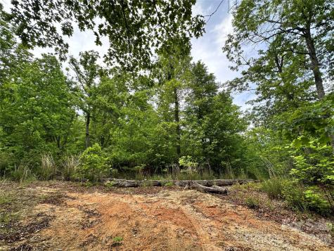 99999 Bird Creek Estates Road Black Mountain NC 28711