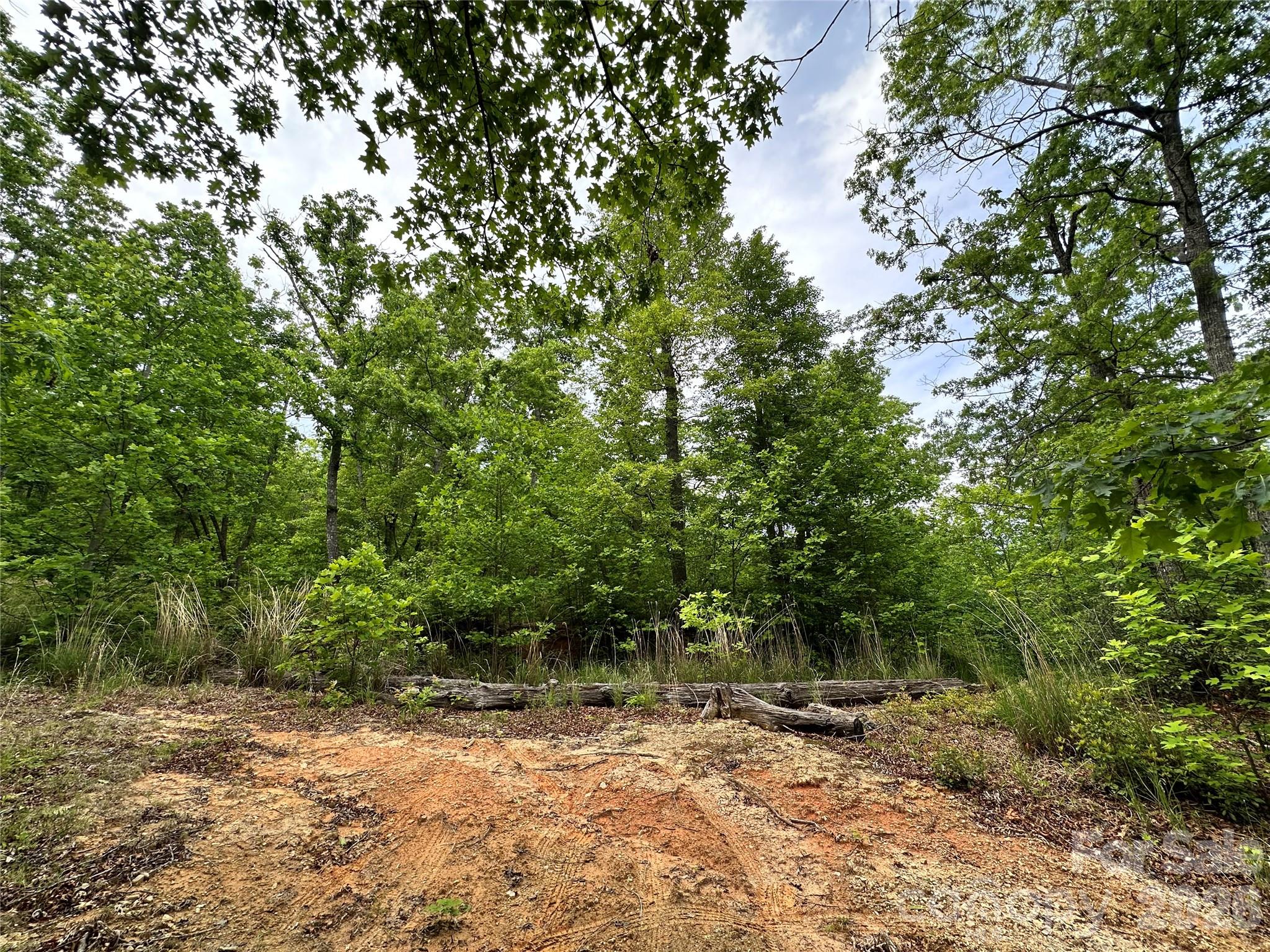 99999 Bird Creek Estates Road Black Mountain NC 28711