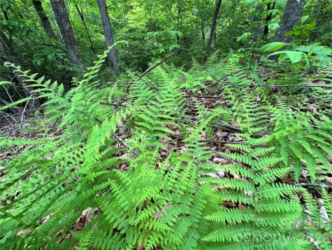99999 Bird Creek Estates Road Black Mountain NC 28711