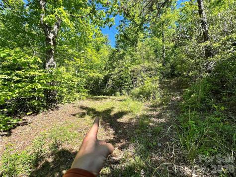 99999 Bird Creek Estates Road Black Mountain NC 28711