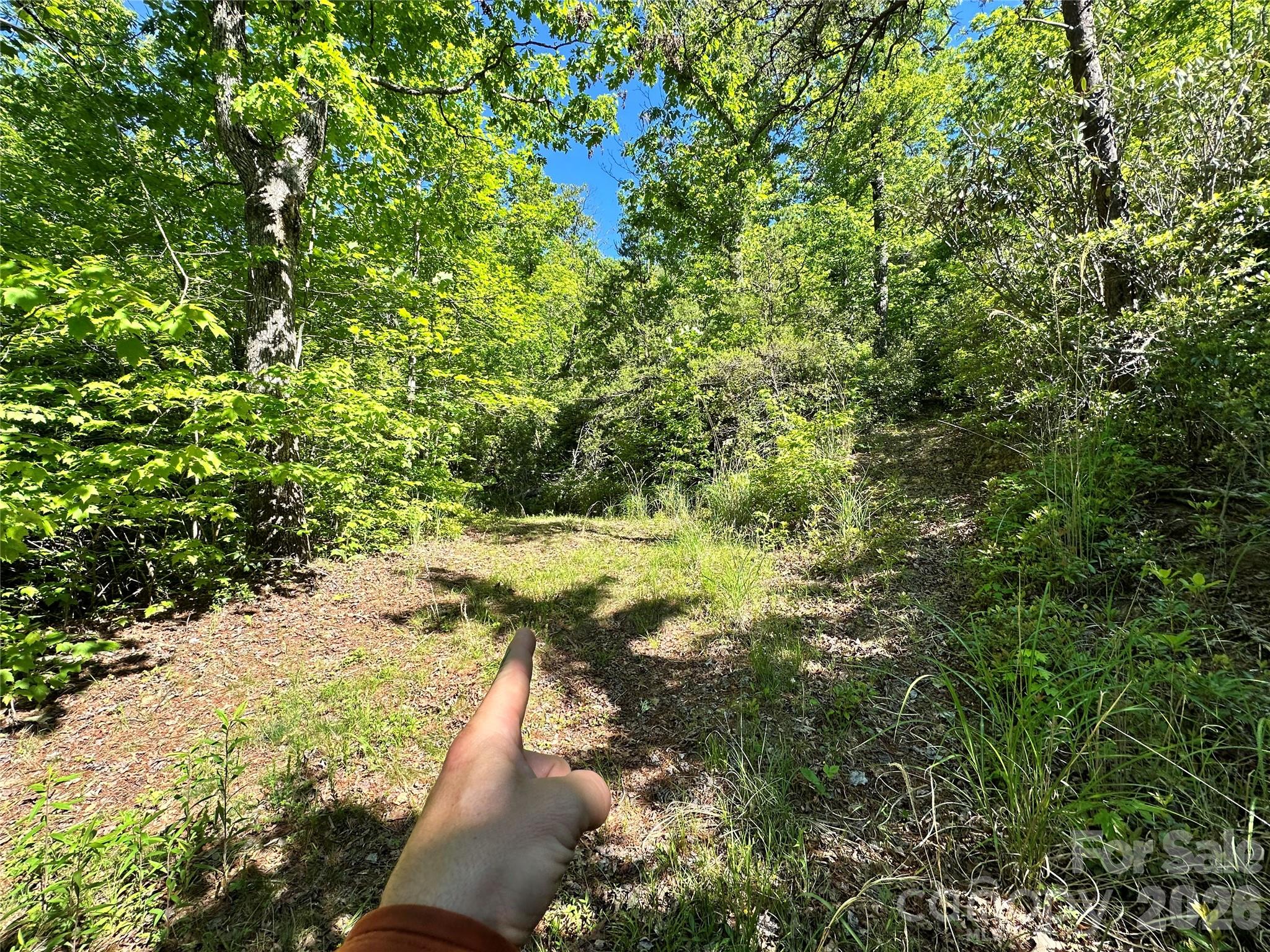 99999 Bird Creek Estates Road Black Mountain NC 28711