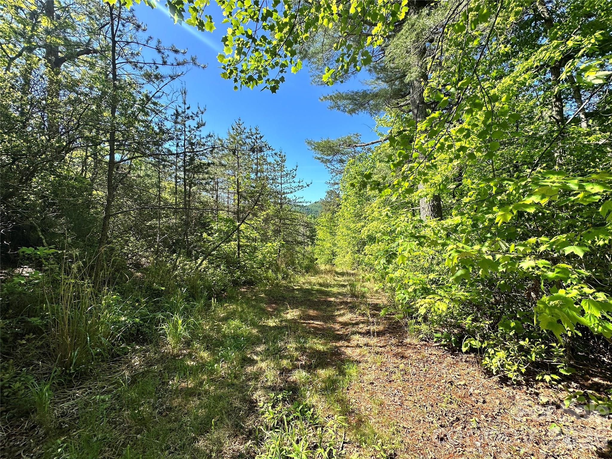 99999 Bird Creek Estates Road Black Mountain NC 28711