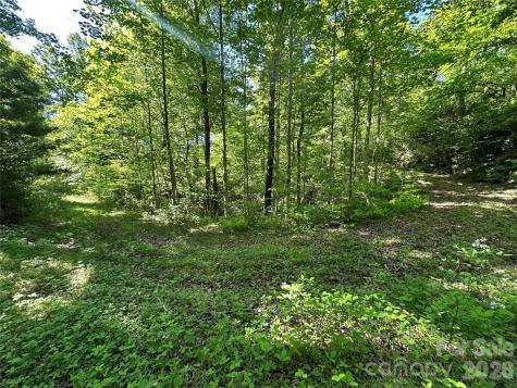 99999 Bird Creek Estates Road Black Mountain NC 28711