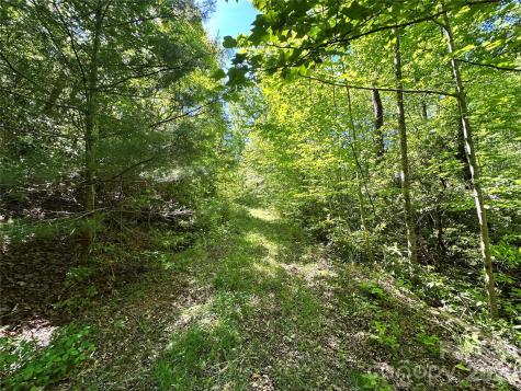 99999 Bird Creek Estates Road Black Mountain NC 28711