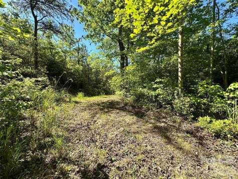 99999 Bird Creek Estates Road Black Mountain NC 28711
