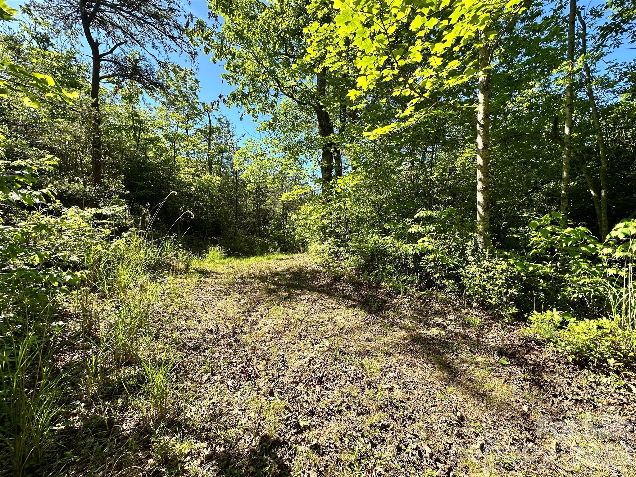 99999 Bird Creek Estates Road Black Mountain NC 28711