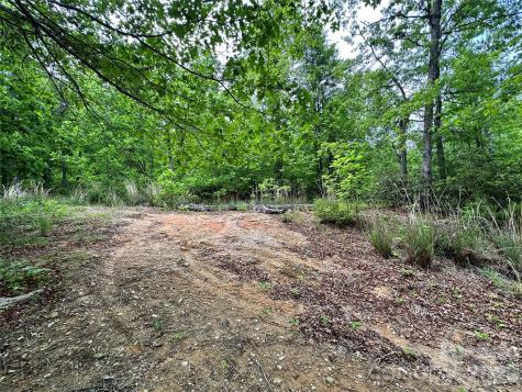 99999 Bird Creek Estates Road Black Mountain NC 28711